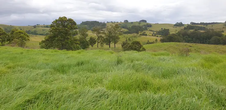 Second view of Homely rural property listing, 1428 Ebsworth Road, Booral NSW 2425