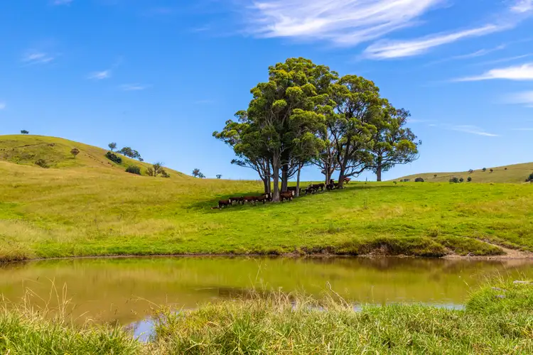 Fifth view of Homely rural property listing, LOT 100 & 101, 309 Chichester Dam Road, Dungog NSW 2420