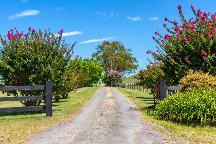 Sixth view of Homely rural property listing, LOT 100 & 101, 309 Chichester Dam Road, Dungog NSW 2420