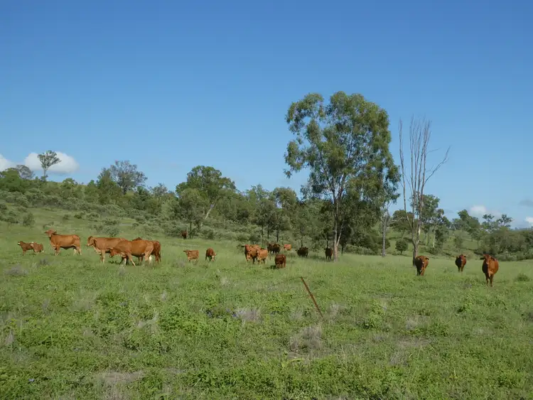 Fifth view of Homely rural property listing, 758 FOWLERS ROAD, Wilson Valley QLD 4625
