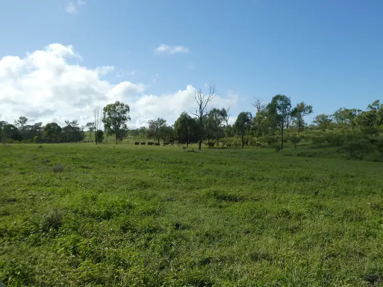 Seventh view of Homely rural property listing, 758 FOWLERS ROAD, Wilson Valley QLD 4625