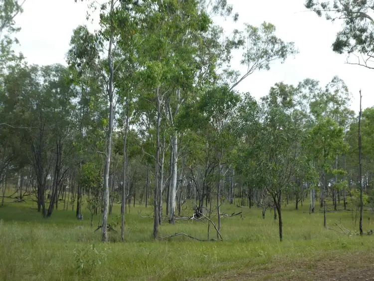 Sixth view of Homely rural property listing, Address available on request