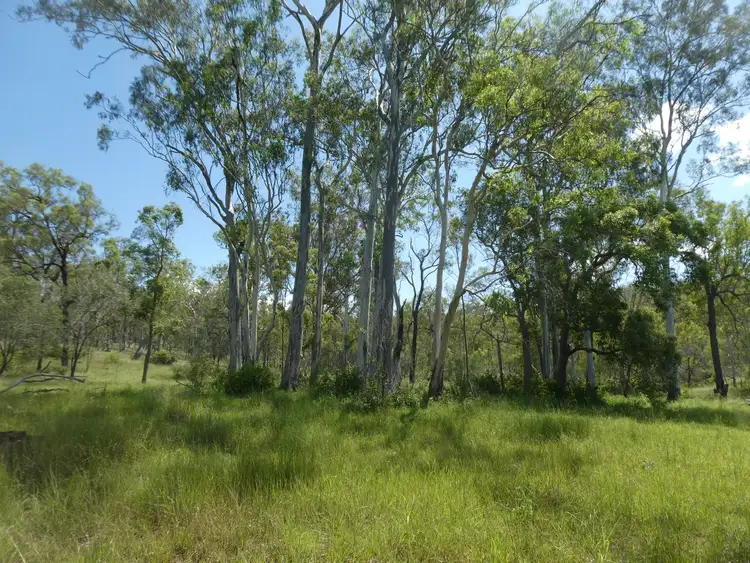 Fifth view of Homely rural property listing, Address available on request