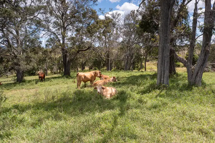 Seventh view of Homely land listing, LOT 51 Hawkins Road, Coulson QLD 4310