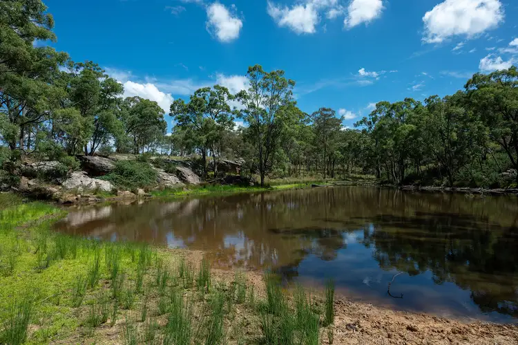 Seventh view of Homely rural property listing, 587 Durridgerie Road, Gulgong NSW 2852