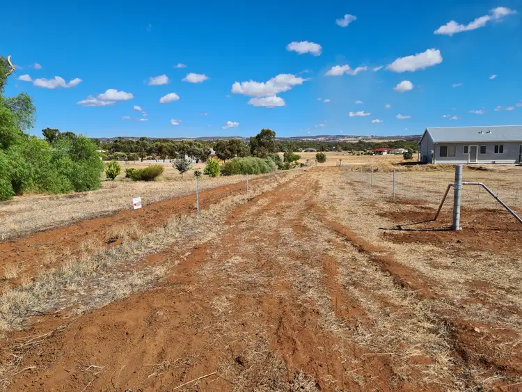 Second view of Homely land listing, LOT 801 Andrews Ave, York WA 6302