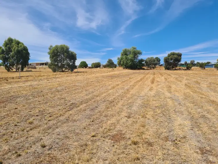 Sixth view of Homely land listing, LOT 801 Andrews Ave, York WA 6302