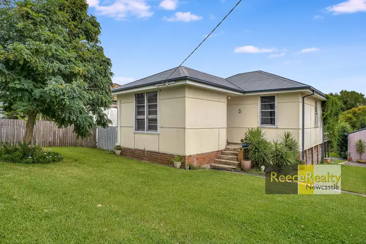 Main view of Homely house listing, 20 Rabaul Street, Shortland NSW 2307