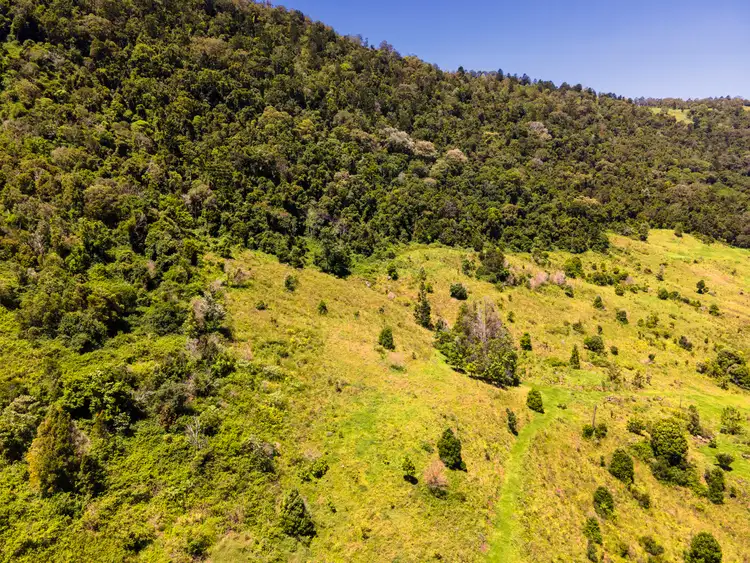 Third view of Homely rural property listing, 151 Illinbah Road, Illinbah QLD 4275