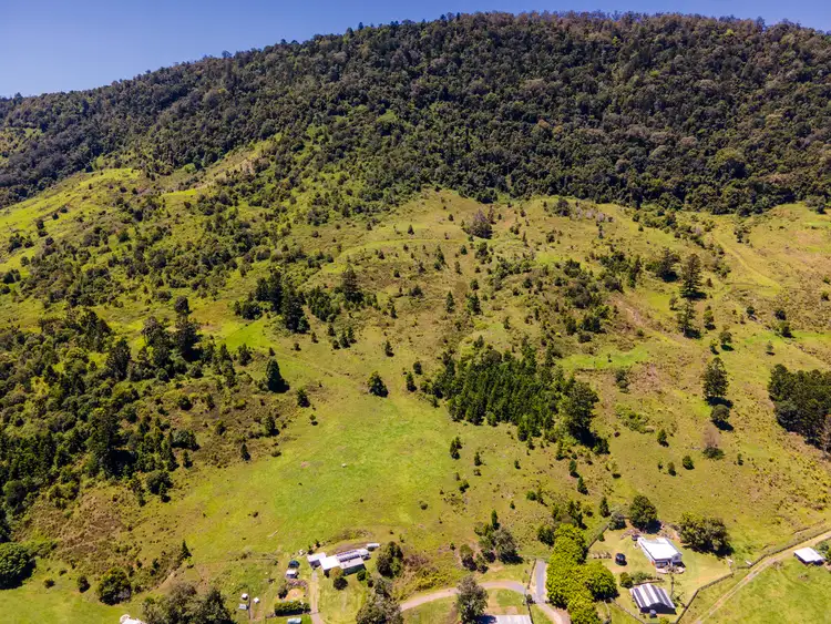 Sixth view of Homely rural property listing, 151 Illinbah Road, Illinbah QLD 4275