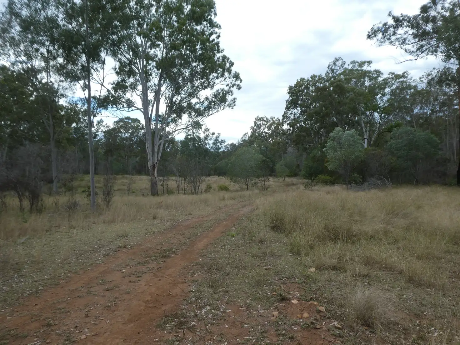 Main view of Homely rural property listing, Address available on request