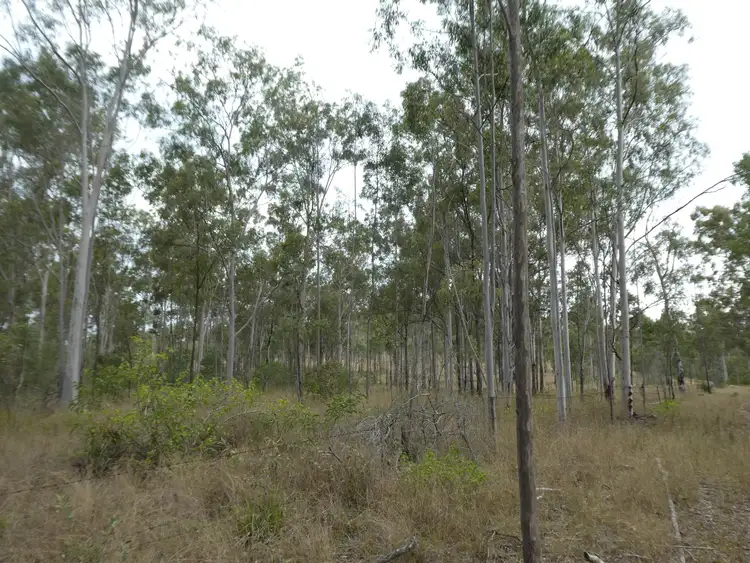 Second view of Homely rural property listing, Address available on request