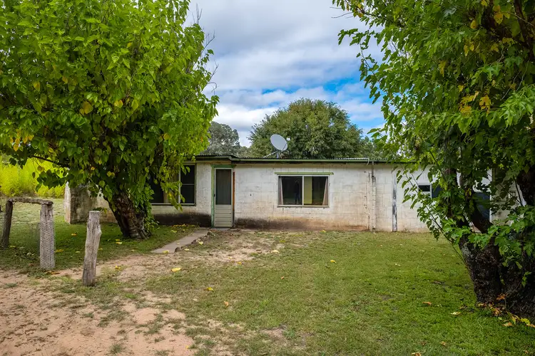 Seventh view of Homely rural property listing, 287 Wonga Roo Road, Gulgong NSW 2852