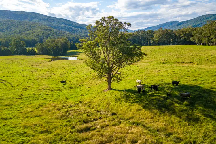 Third view of Homely rural property listing, LOT 102, 538 Main Creek Road, Main Creek Via, Dungog NSW 2420