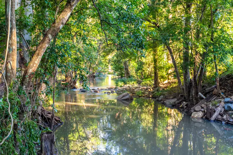 Fifth view of Homely rural property listing, LOT 102, 538 Main Creek Road, Main Creek Via, Dungog NSW 2420