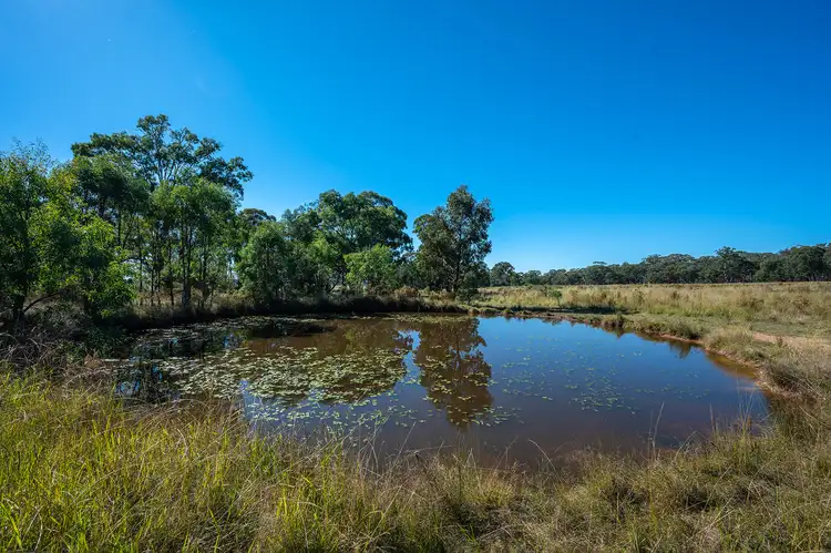Fourth view of Homely rural property listing, 364 Corishs Lane, Gulgong NSW 2852