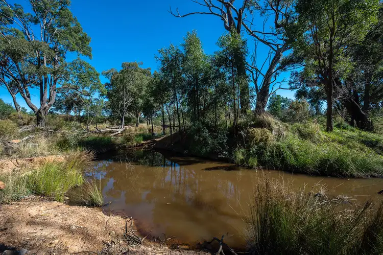 Sixth view of Homely rural property listing, 364 Corishs Lane, Gulgong NSW 2852
