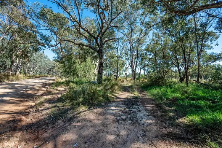 Seventh view of Homely rural property listing, 364 Corishs Lane, Gulgong NSW 2852