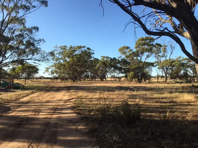 Sixth view of Homely rural property listing, 1596 Boggling Road, York WA 6302