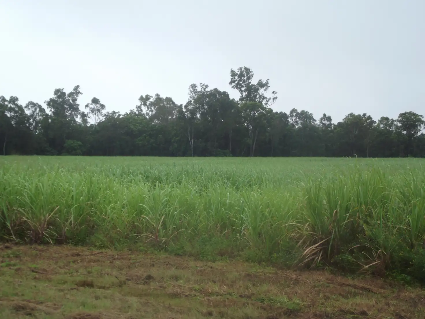 Main view of Homely rural property listing, Address available on request