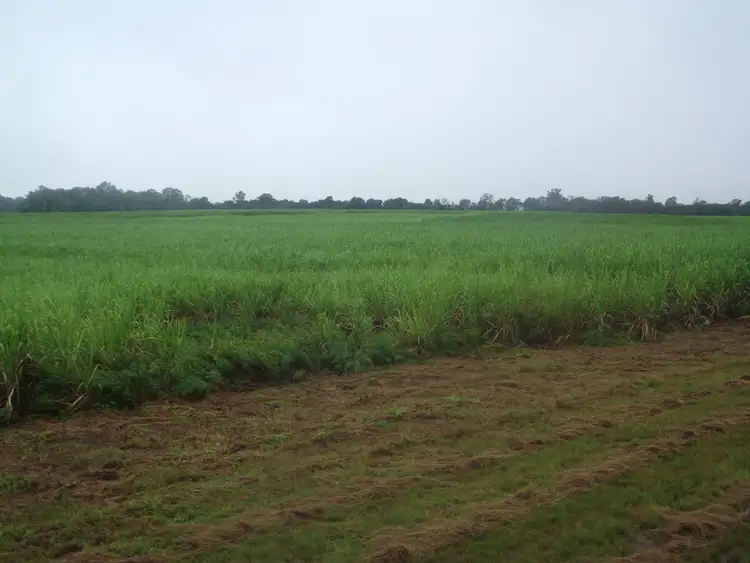 Sixth view of Homely rural property listing, Address available on request