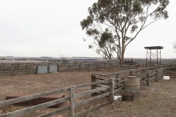 Seventh view of Homely rural property listing, 122 Cemetery Road & Glenelg Highway, Wickliffe VIC 3379