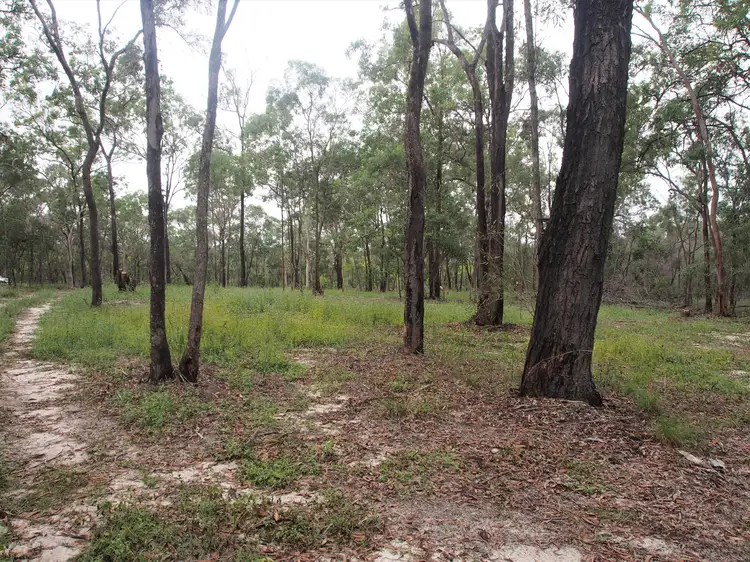 Third view of Homely rural property listing, Lot 4 ADIES ROAD, Isis Central QLD 4660