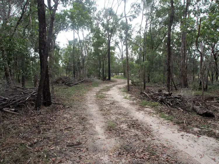 Fifth view of Homely rural property listing, Lot 4 ADIES ROAD, Isis Central QLD 4660