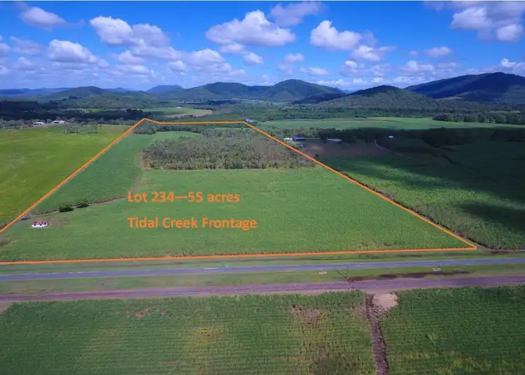 303 Bogga Road, Mount Pelion QLD 4741