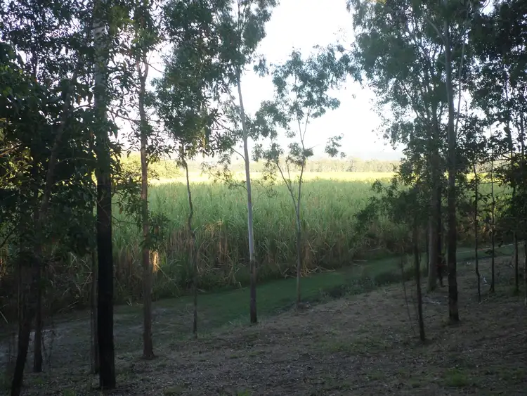 Fourth view of Homely rural property listing, 303 Bogga Road, Mount Pelion QLD 4741