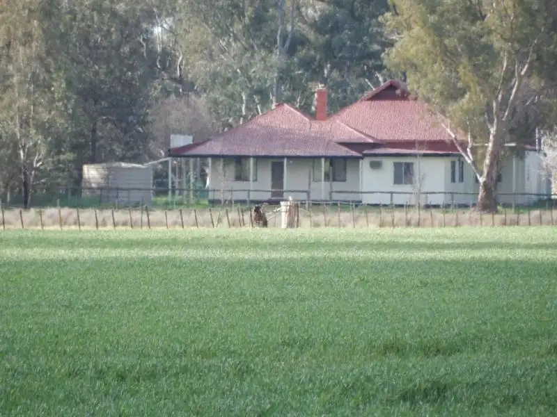 Main view of Homely rural property listing, 1189 Back Walbundrie Rand Road, Walbundrie NSW 2642