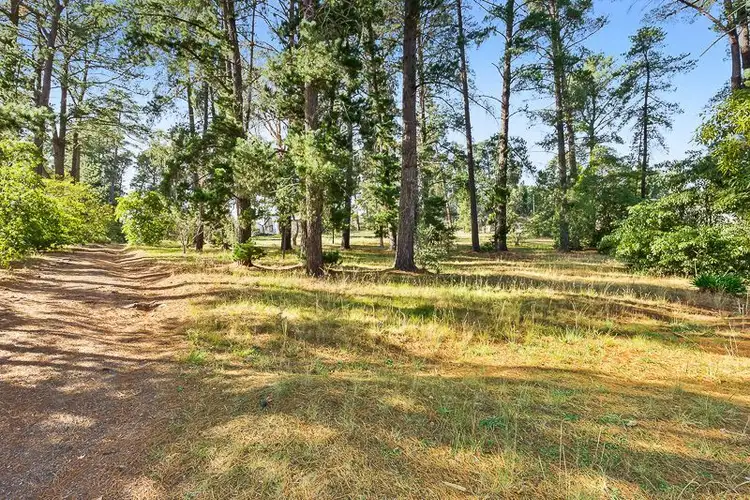 Sixth view of Homely house listing, 21 McDonald Avenue, Templestowe VIC 3106