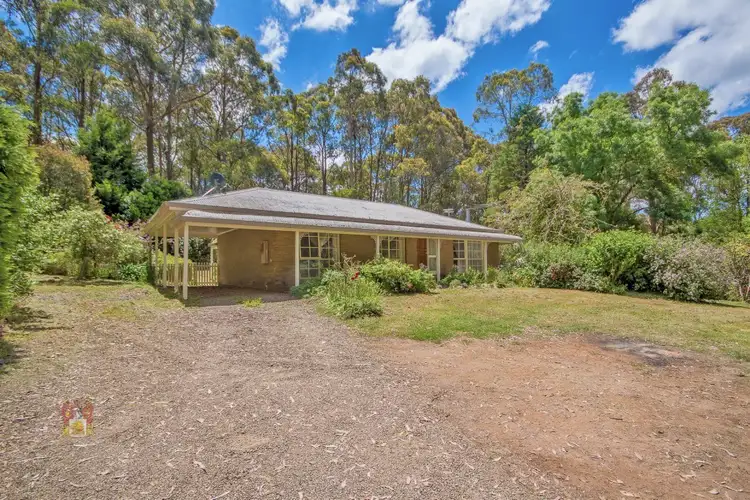 Second view of Homely house listing, 341 Kinglake-Glenburn Road, Kinglake VIC 3763