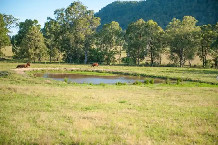 Seventh view of Homely rural property listing, 1465 Gresford Road Torryburn Via, Paterson NSW 2421