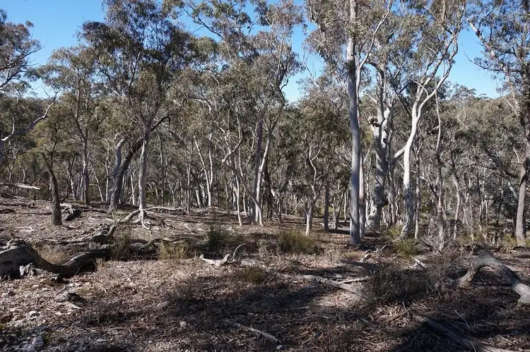 Sixth view of Homely land listing, 180 Nerrimunga Creek Road, Windellama NSW 2580