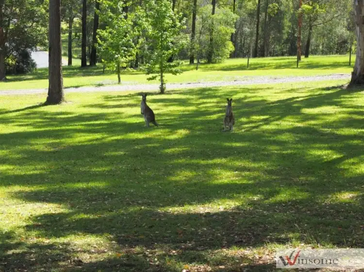 Fourth view of Homely house listing, 49 Hillview Drive, Aldavilla NSW 2440