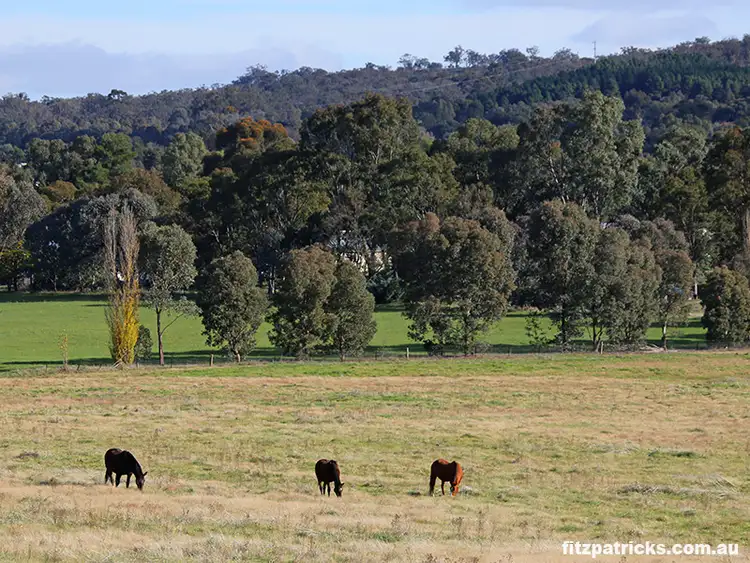 Third view of Homely land listing, LOT 2 Cummins Drive, San Isidore NSW 2650