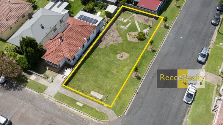 105 Barton Street, Mayfield NSW 2304