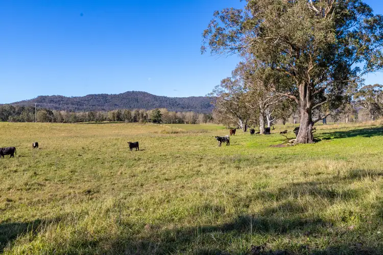 Fifth view of Homely rural property listing, 220 Gresford Road, Paterson NSW 2421