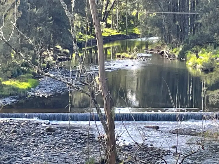 Seventh view of Homely rural property listing, 2578 Allyn River Road, Eccleston Via, East Gresford NSW 2311