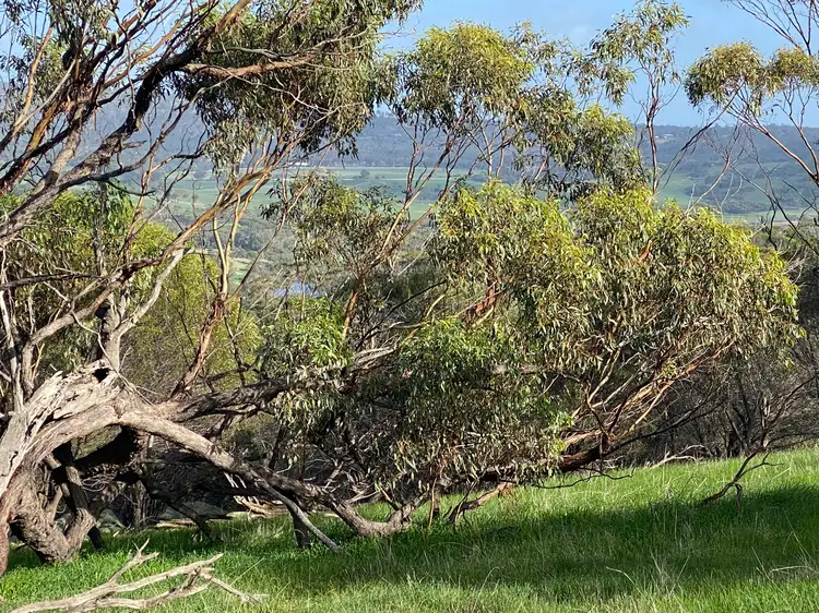 Third view of Homely rural property listing, LOT 110 Whitelakes Drive, Dumbarton WA 6566