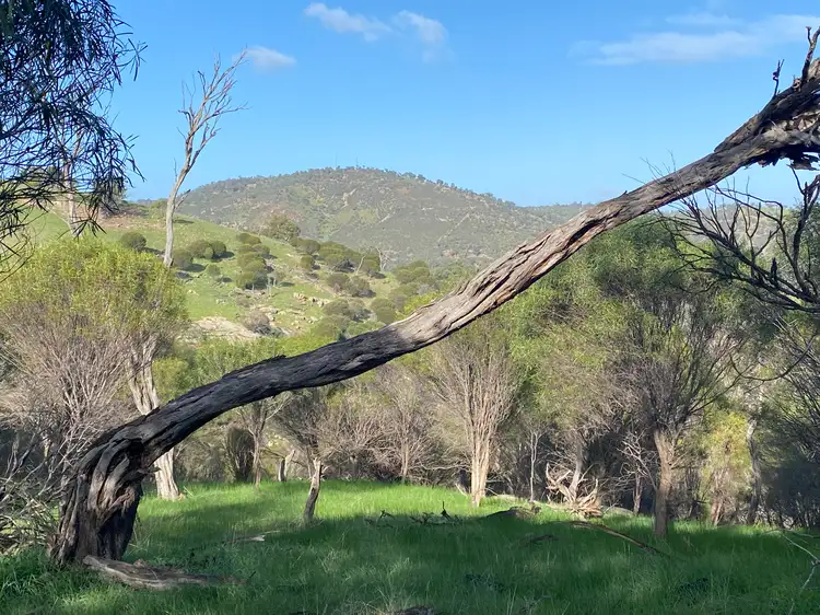 Fourth view of Homely rural property listing, LOT 110 Whitelakes Drive, Dumbarton WA 6566
