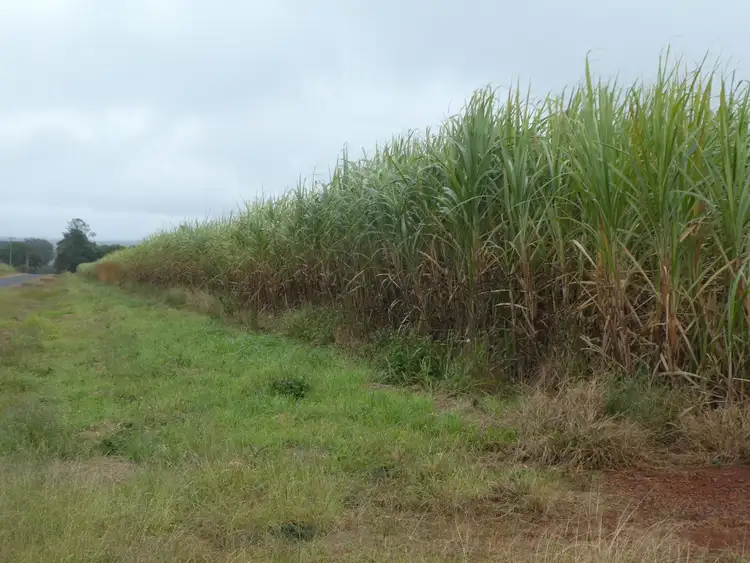 Sixth view of Homely rural property listing, Address available on request