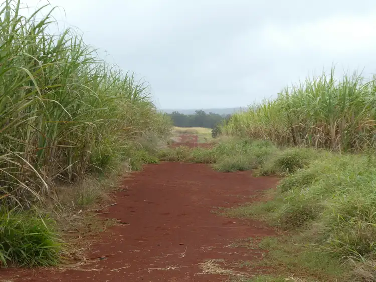 Seventh view of Homely rural property listing, Address available on request