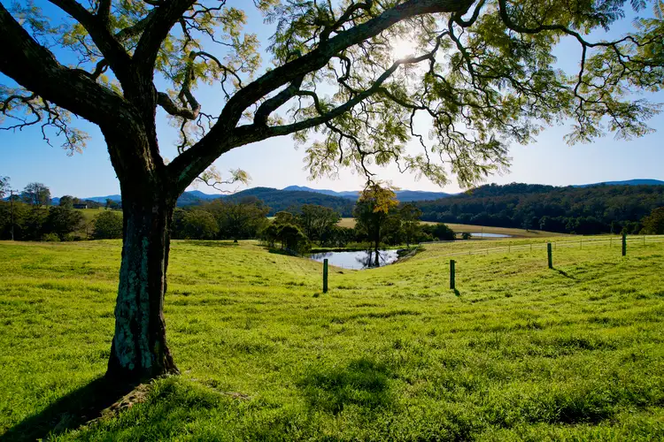 314 Booral Washpool Road, Booral NSW 2425