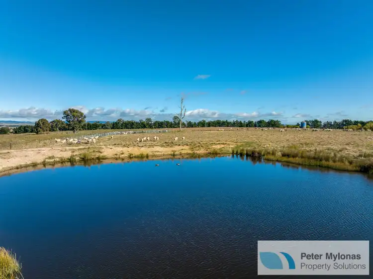 Main view of Homely rural property listing, 99 Shaws Creek Road, Goulburn NSW 2580