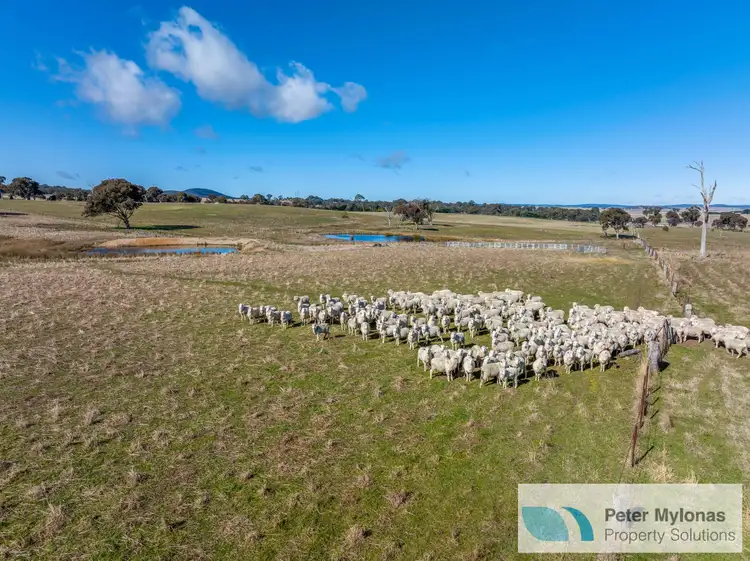 Third view of Homely rural property listing, 99 Shaws Creek Road, Goulburn NSW 2580