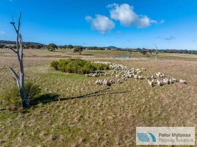 Sixth view of Homely rural property listing, 99 Shaws Creek Road, Goulburn NSW 2580