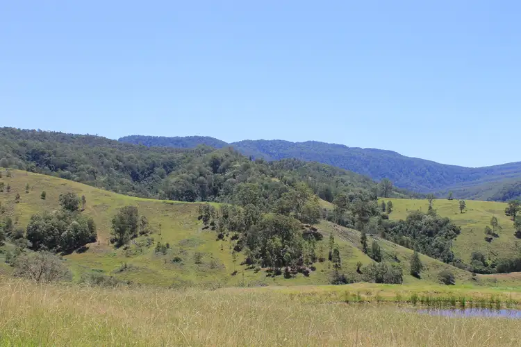 545 Masseys Creek Road Eccleston Via, East Gresford NSW 2311