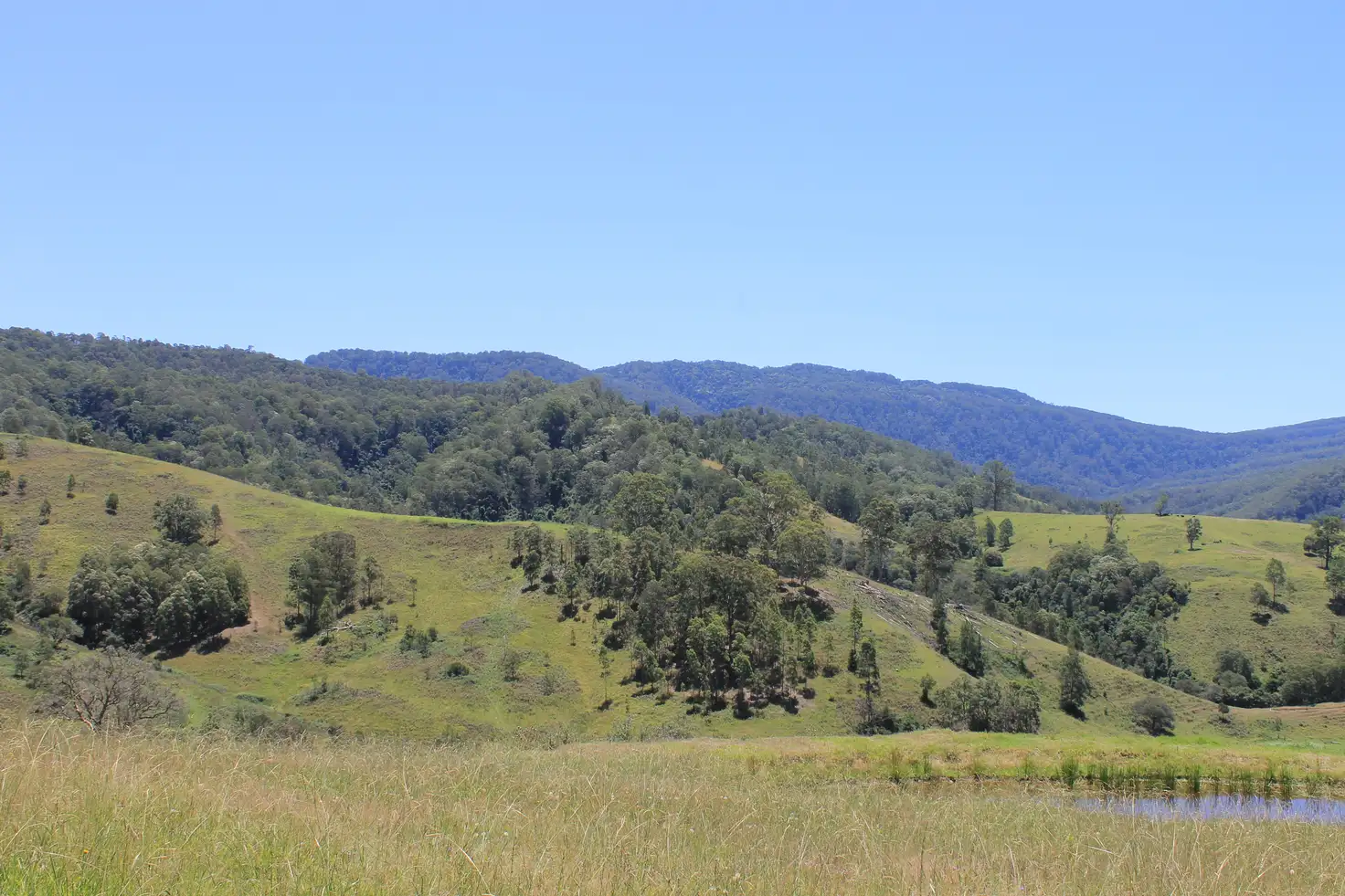 Main view of Homely rural property listing, 545 Masseys Creek Road Eccleston Via, East Gresford NSW 2311